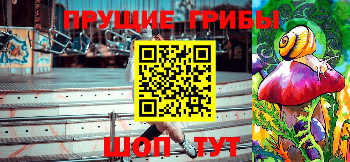 Псилоцибиновые грибы прущие грибы  Вход с VPN  Псилоцибиновые грибы Psilocybe  Дивногорск 